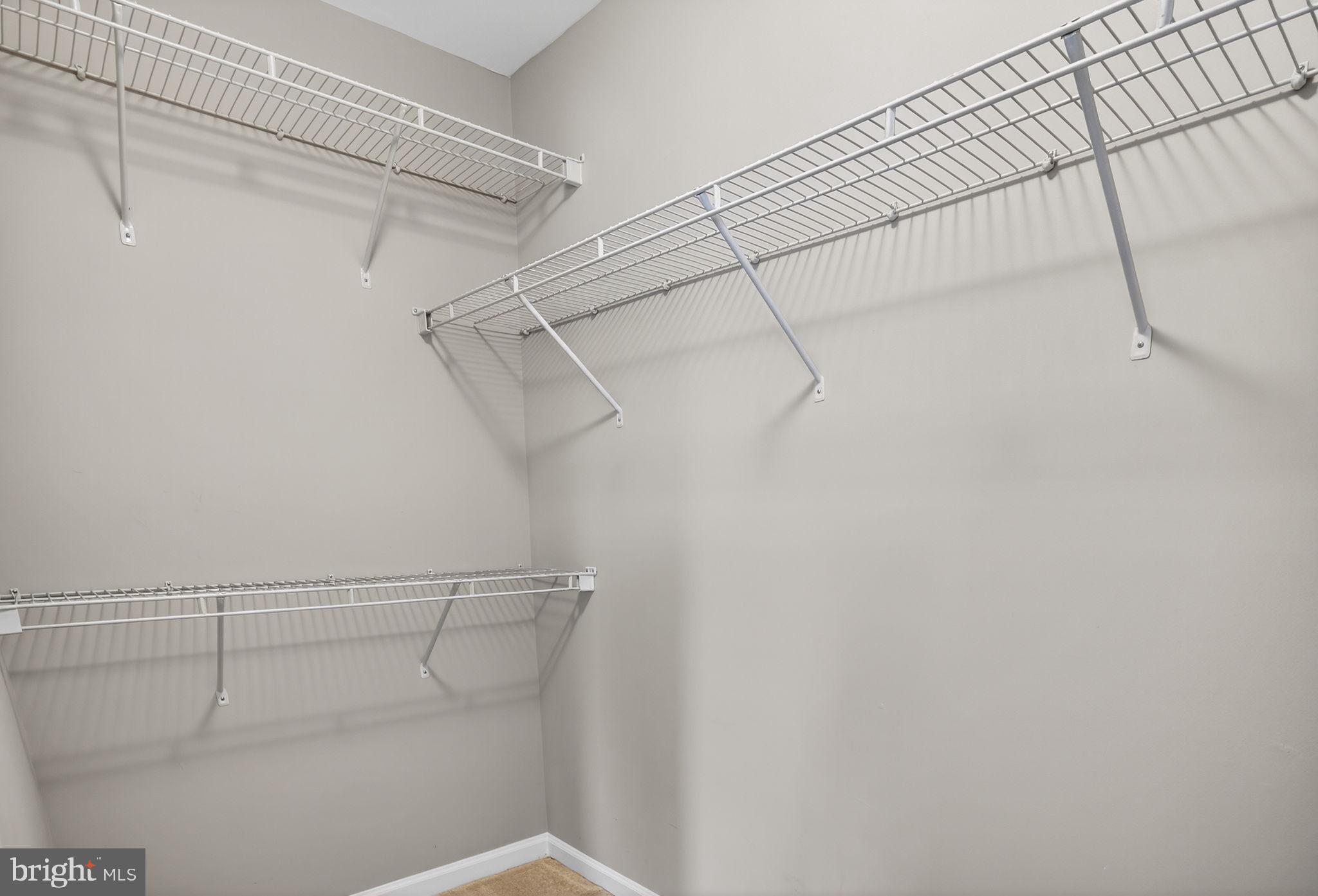 15976 CANADA GOOSE LOOP