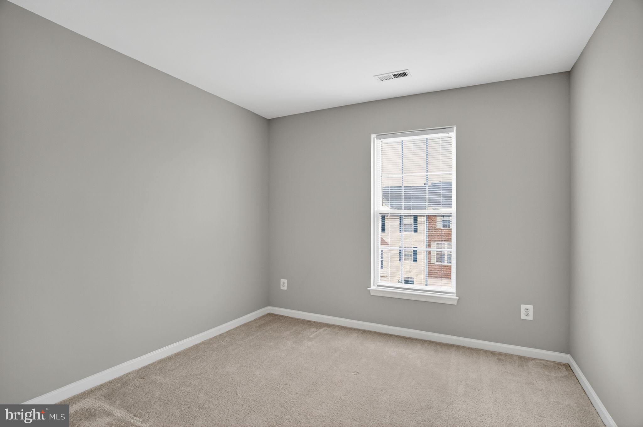 15976 CANADA GOOSE LOOP