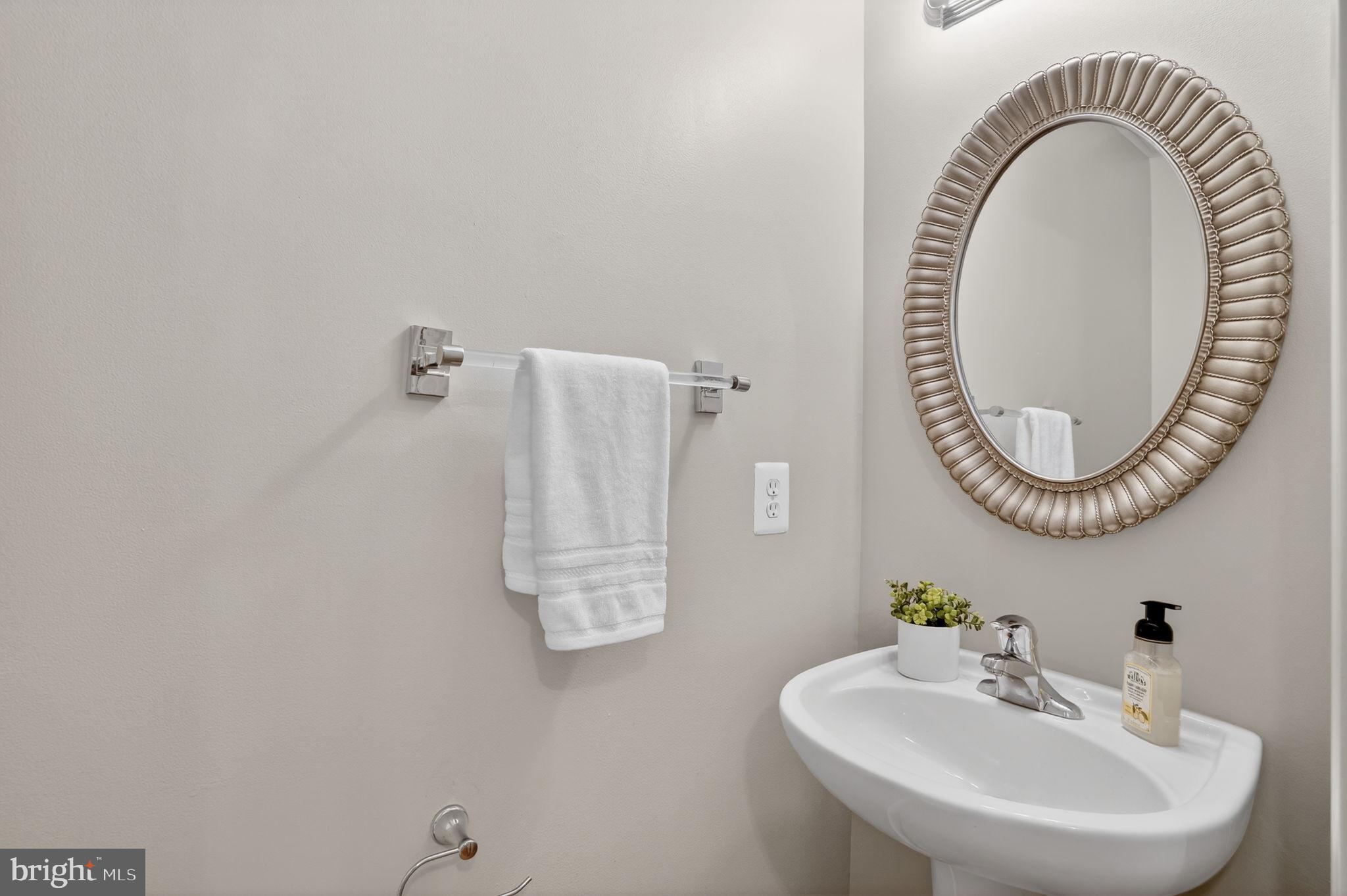 15976 CANADA GOOSE LOOP