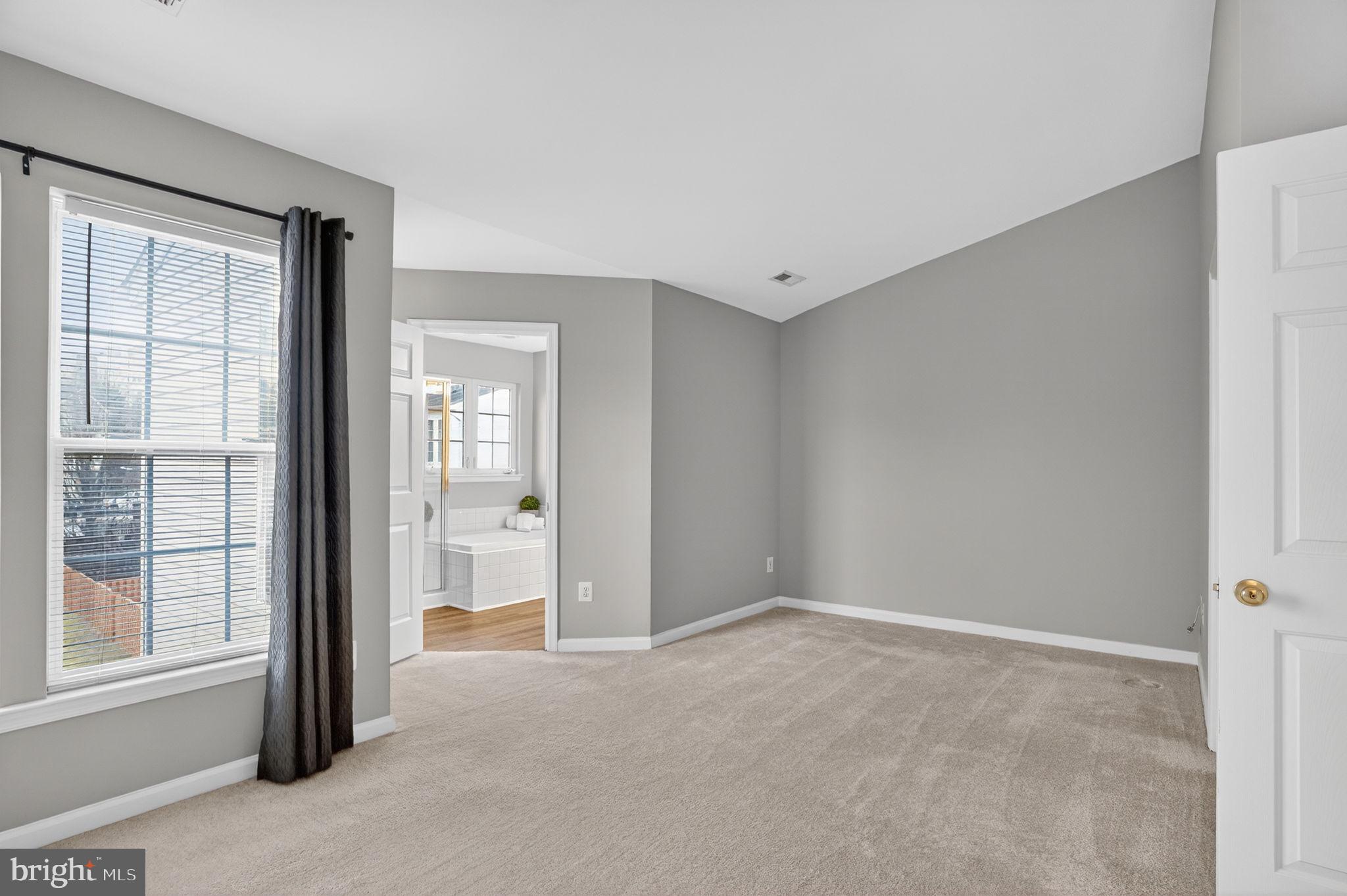 15976 CANADA GOOSE LOOP