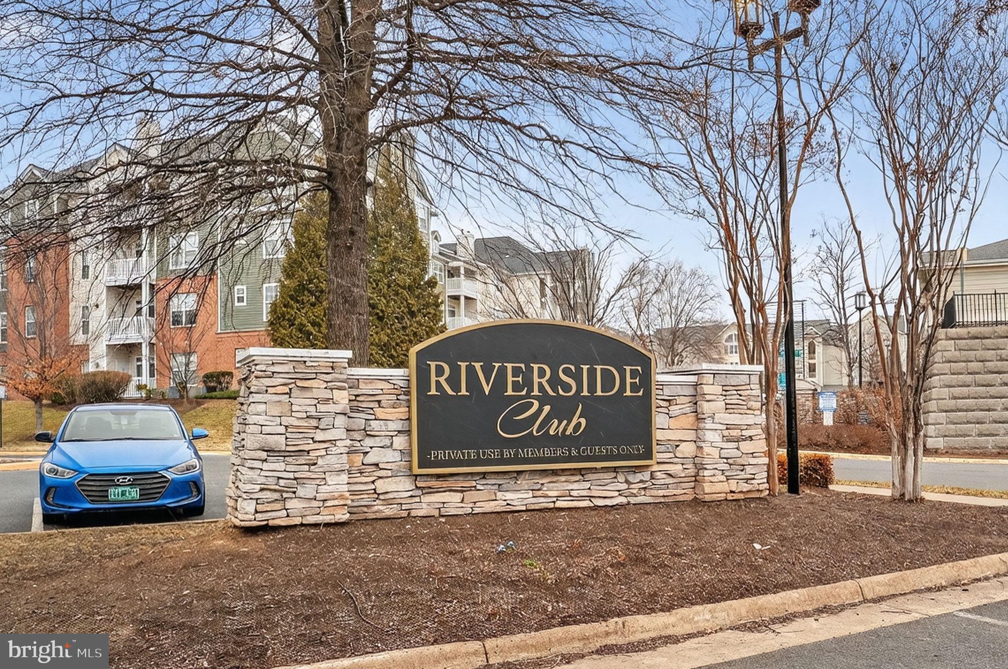 15976 CANADA GOOSE LOOP