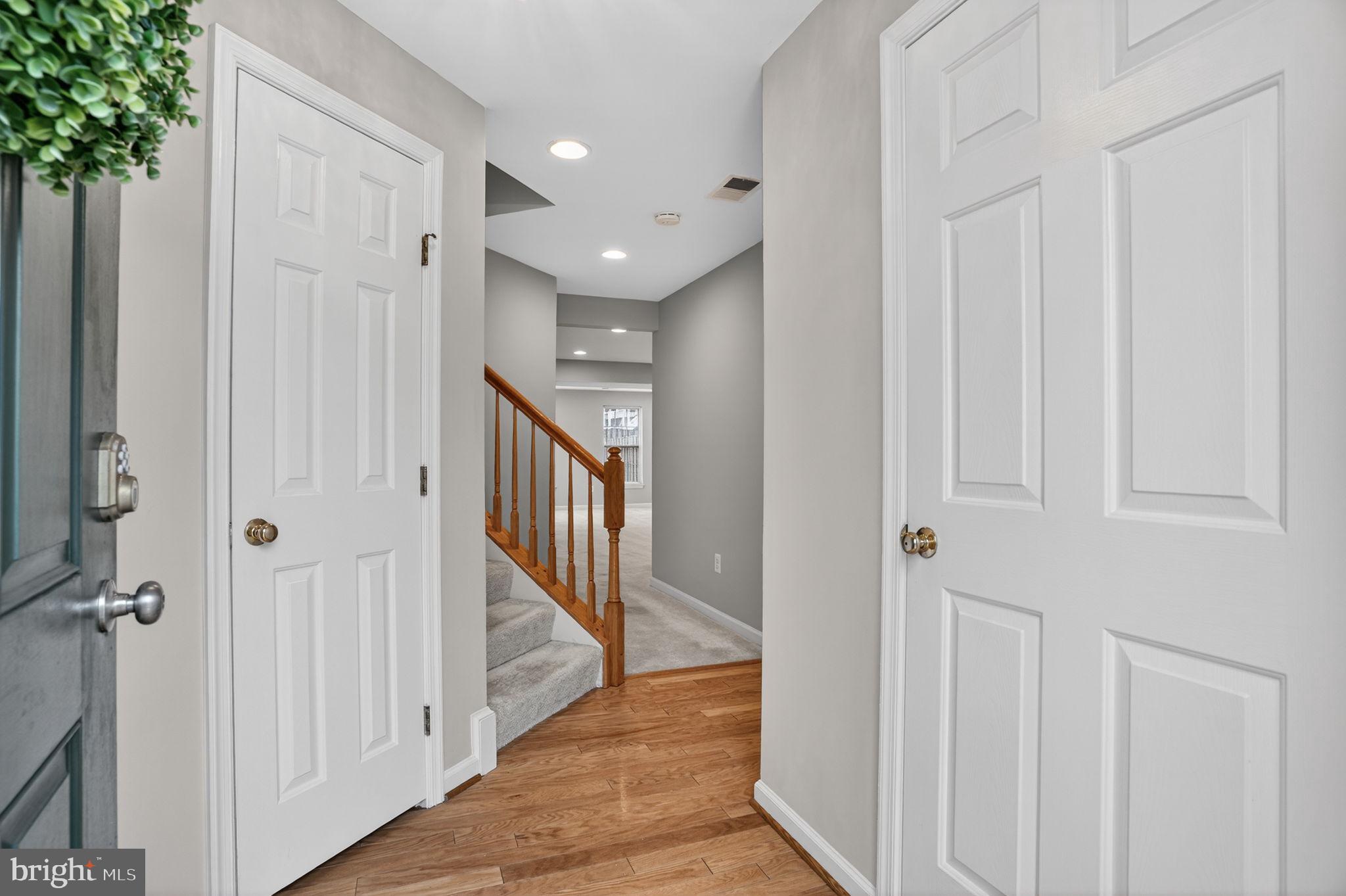 15976 CANADA GOOSE LOOP