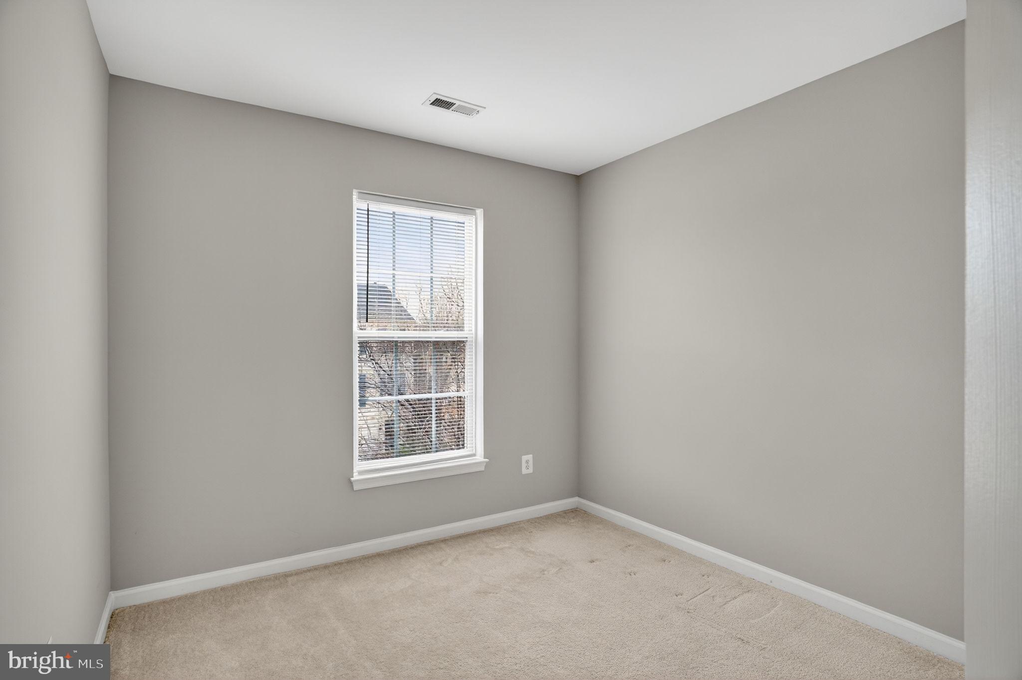 15976 CANADA GOOSE LOOP