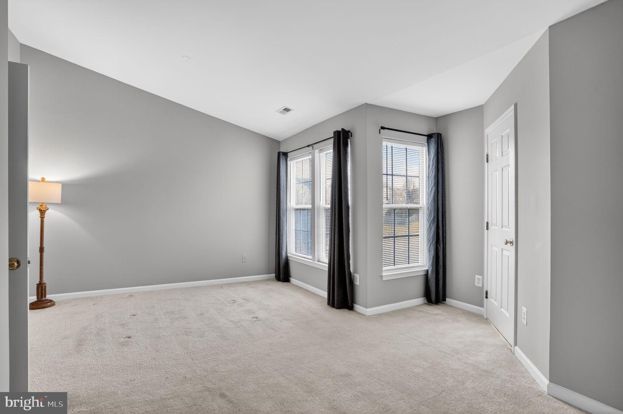 15976 CANADA GOOSE LOOP