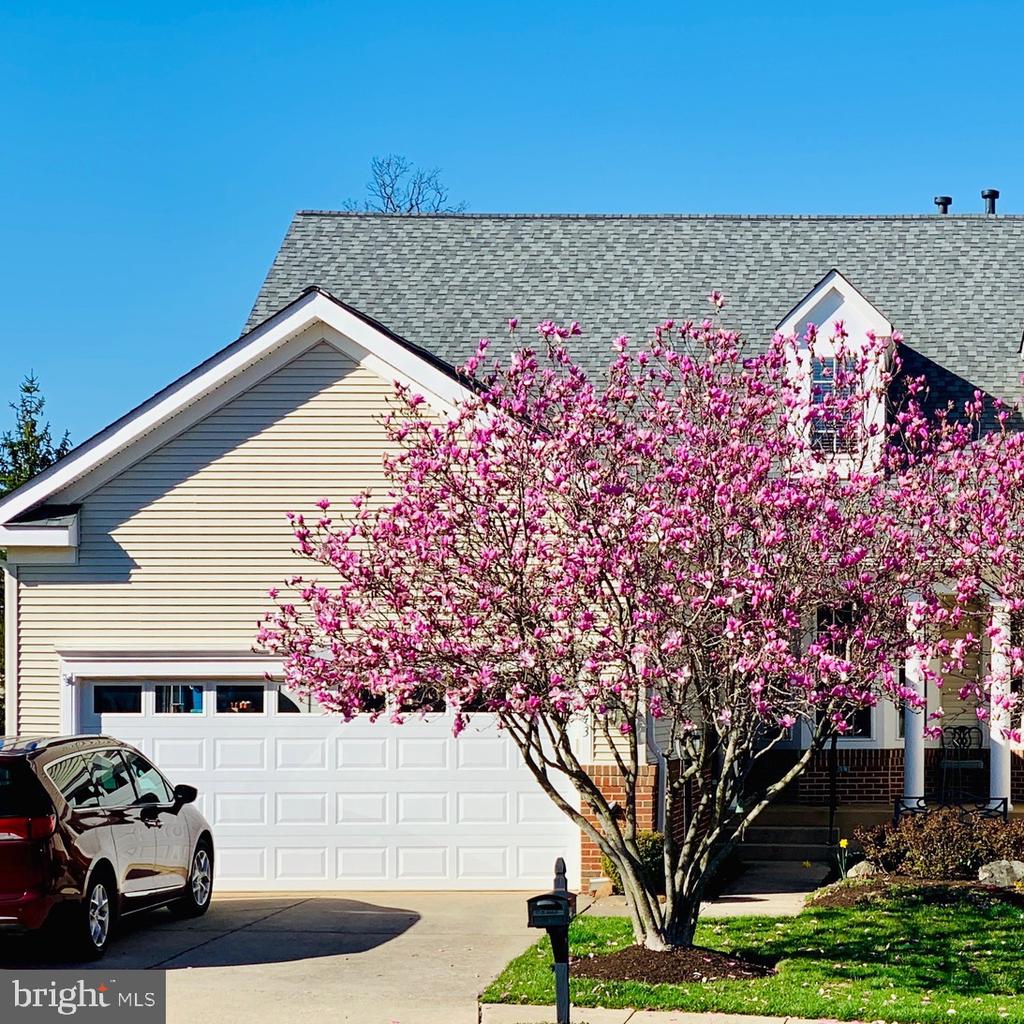 13743 CURRANT LOOP