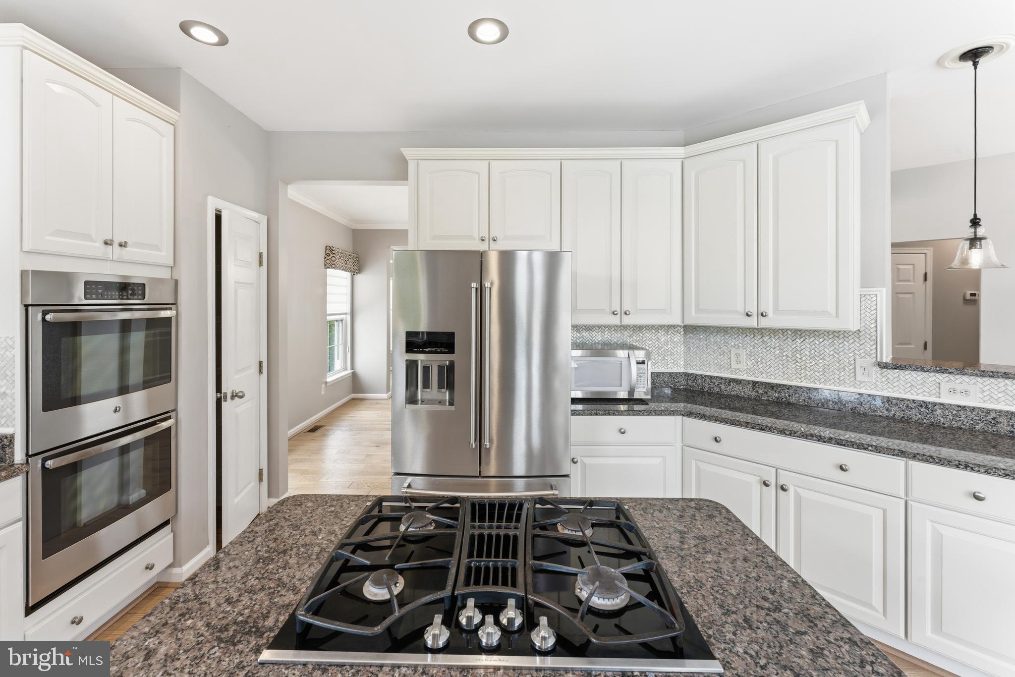 14036 STERLING POINT DRIVE