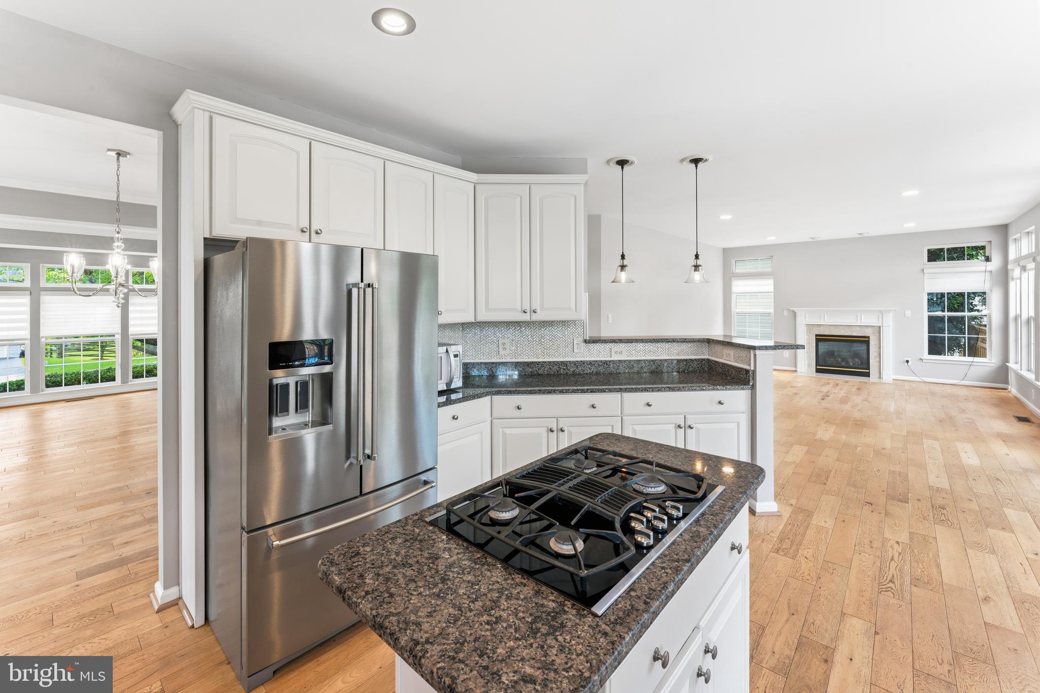 14036 STERLING POINT DRIVE