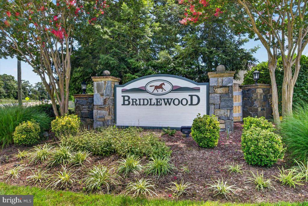 13732 BRIDLEWOOD DRIVE