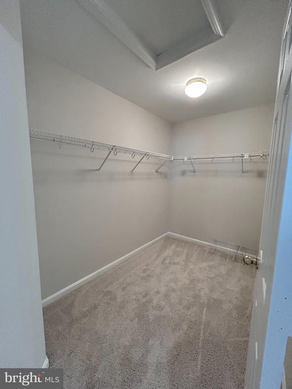 13732 BRIDLEWOOD DRIVE