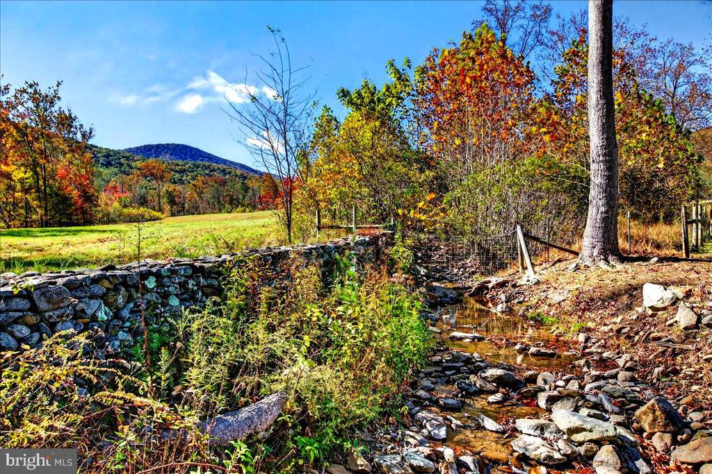 290 RILEY HOLLOW ROAD