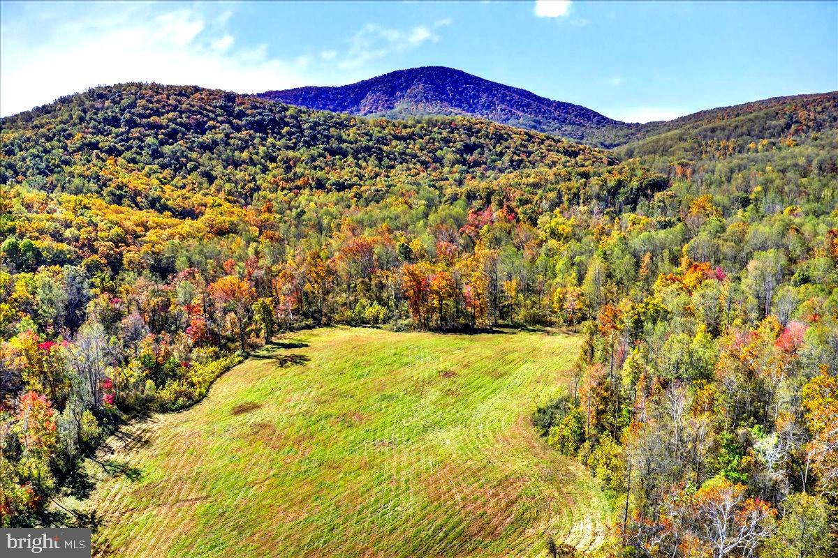 290 RILEY HOLLOW ROAD