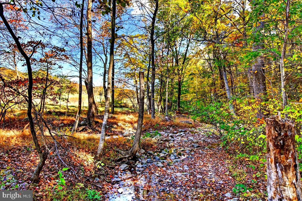 290 RILEY HOLLOW ROAD