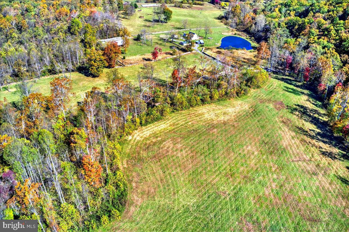 290 RILEY HOLLOW ROAD