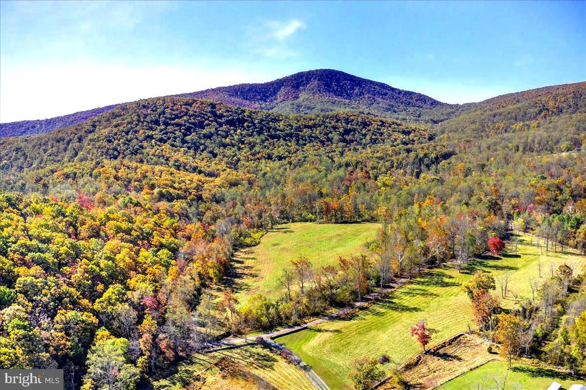 290 RILEY HOLLOW ROAD