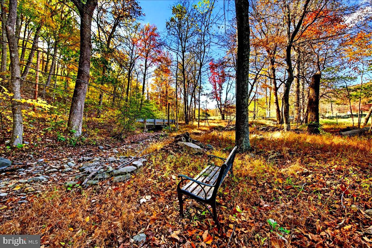 290 RILEY HOLLOW ROAD