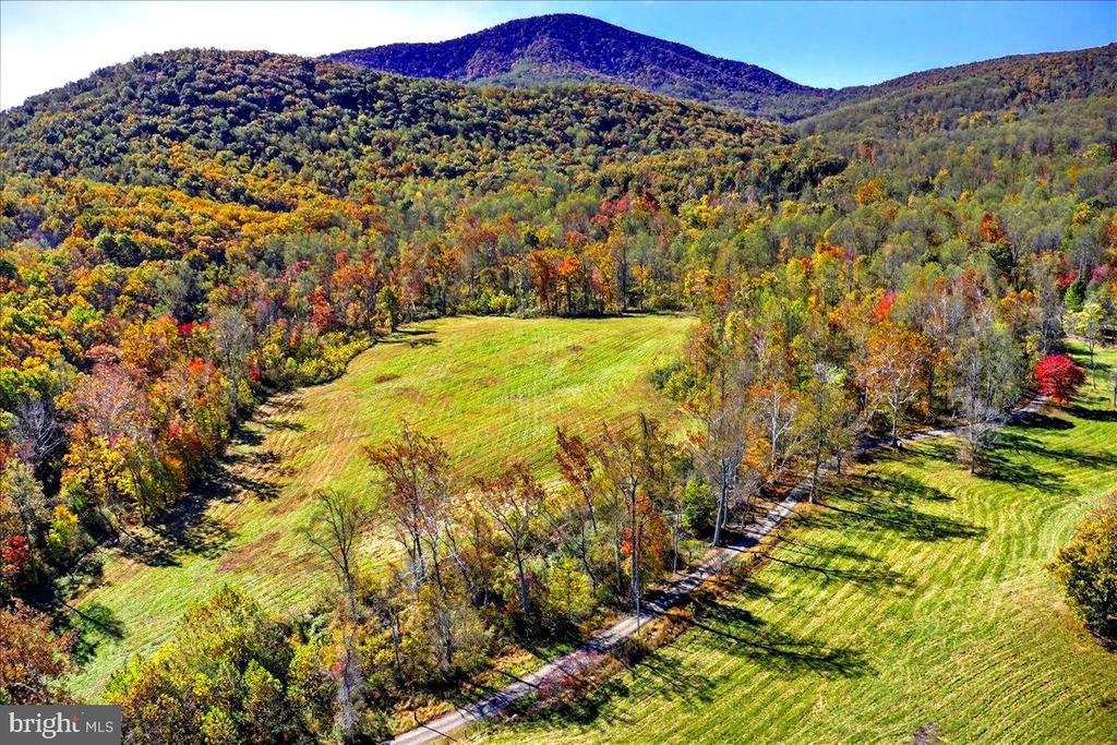 290 RILEY HOLLOW ROAD
