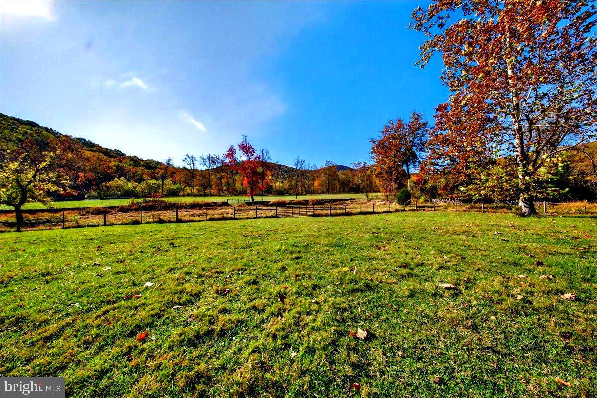 290 RILEY HOLLOW ROAD