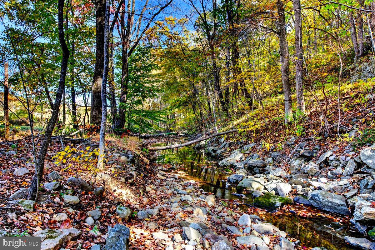 290 RILEY HOLLOW ROAD