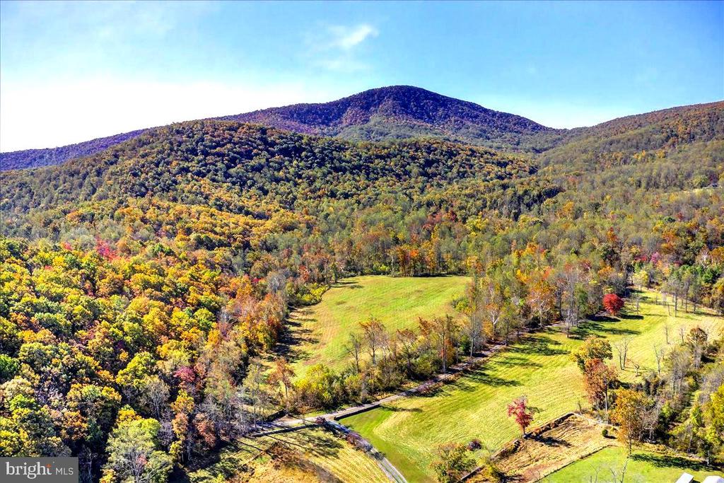 290 RILEY HOLLOW ROAD
