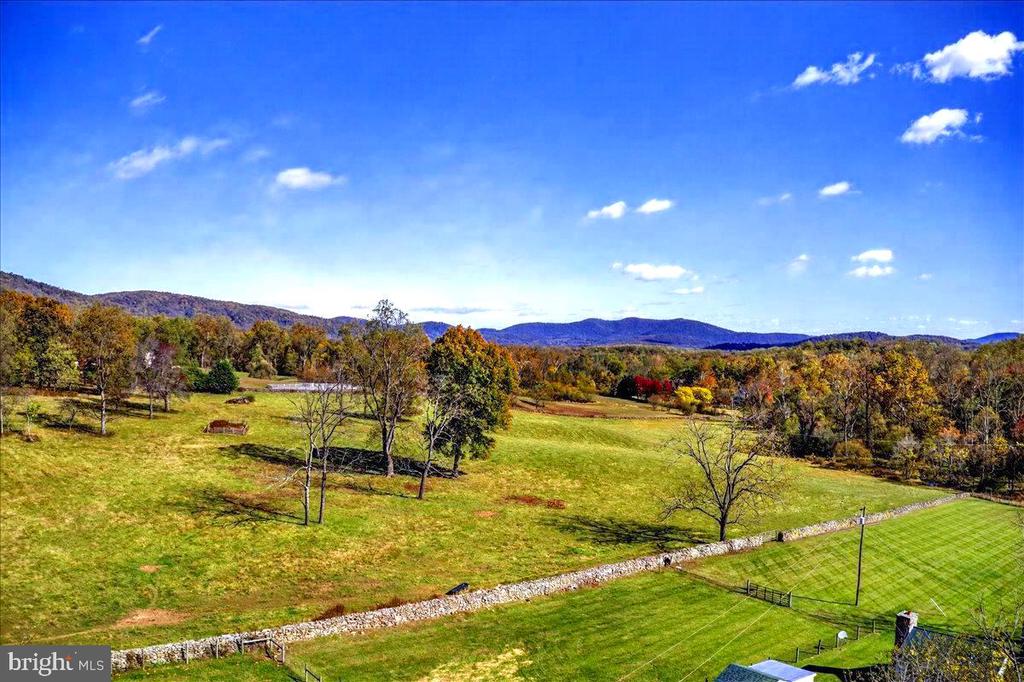 290 RILEY HOLLOW ROAD