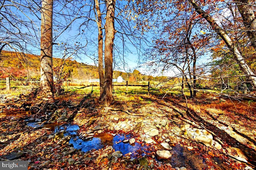 290 RILEY HOLLOW ROAD
