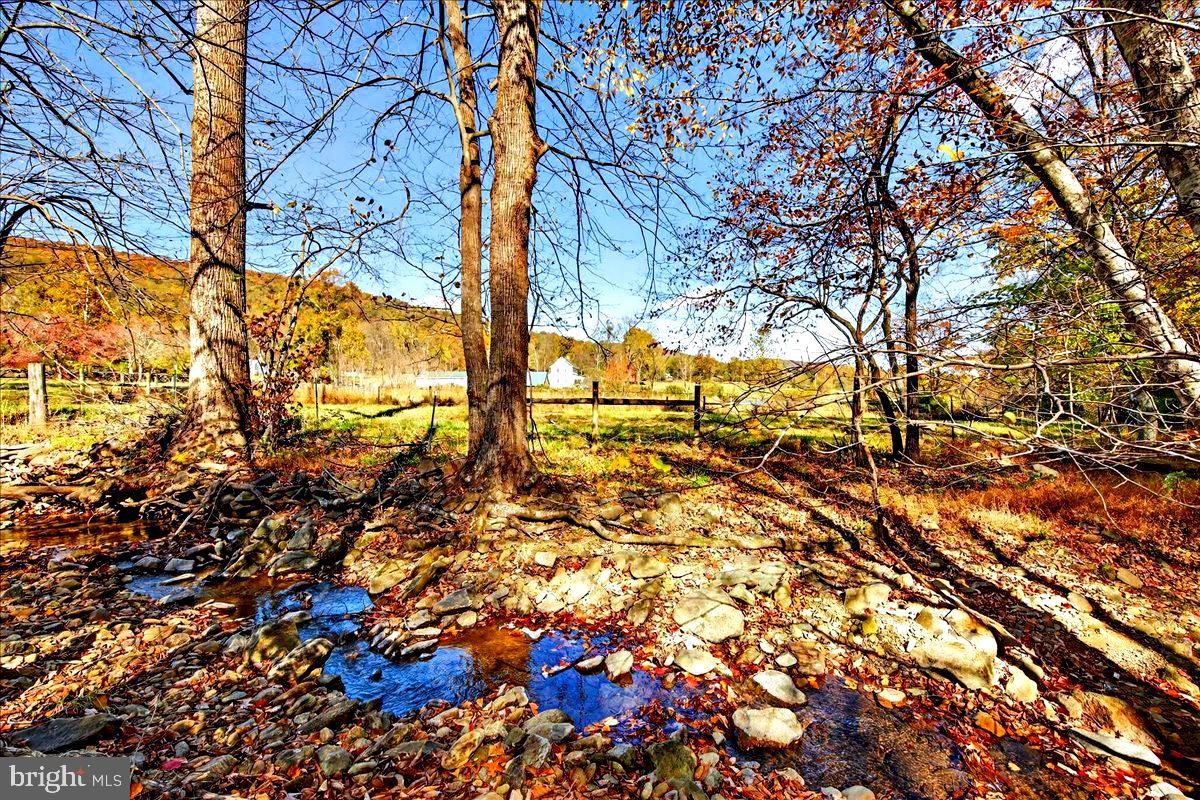 290 RILEY HOLLOW ROAD