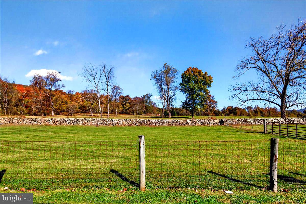 290 RILEY HOLLOW ROAD