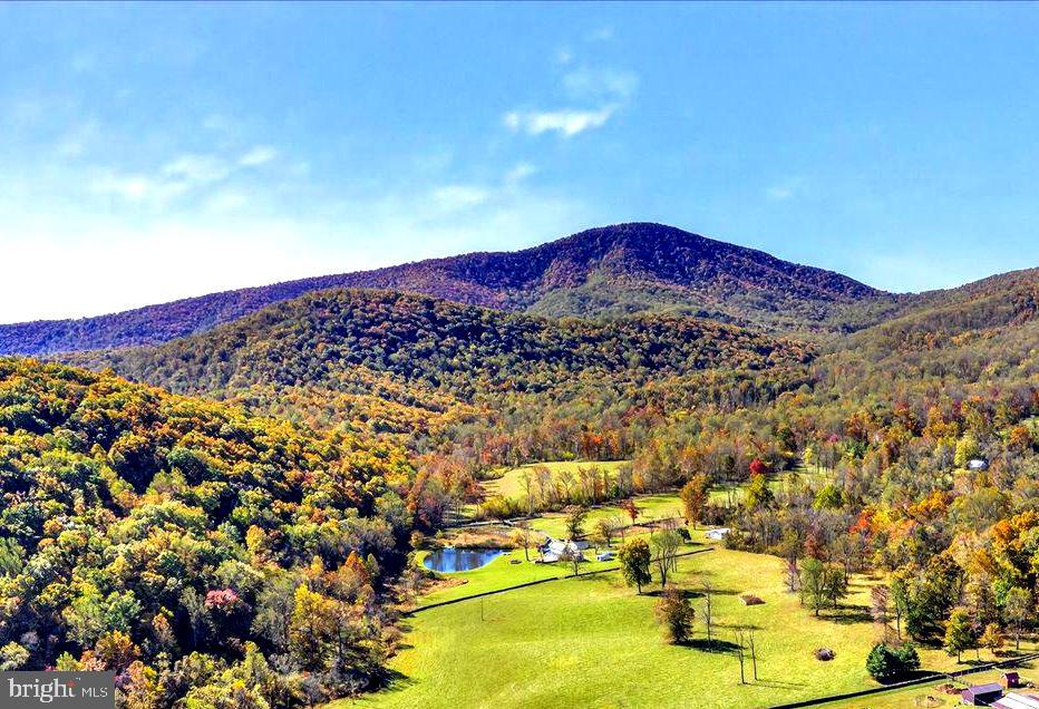 290 RILEY HOLLOW ROAD