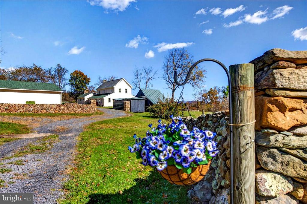 290 RILEY HOLLOW ROAD