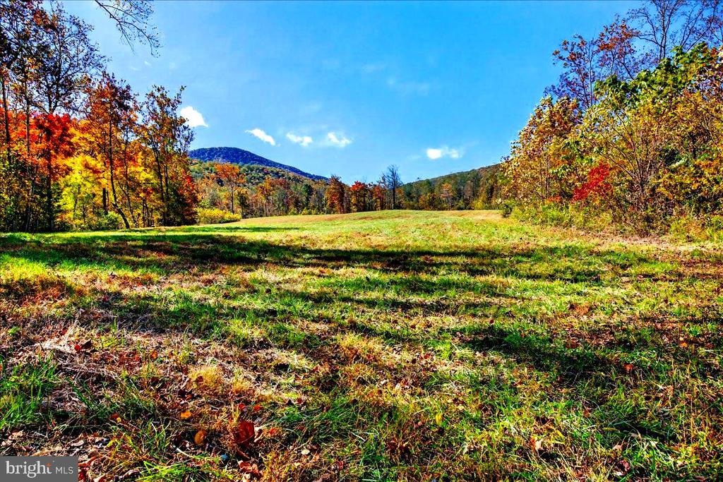 290 RILEY HOLLOW ROAD