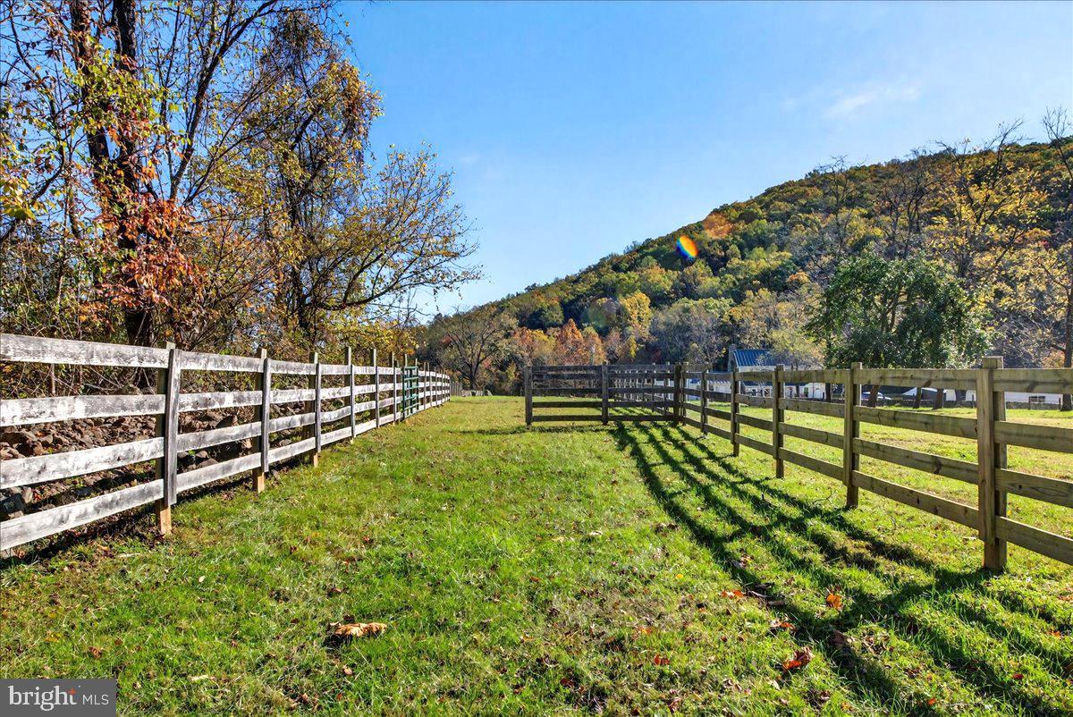 290 RILEY HOLLOW ROAD