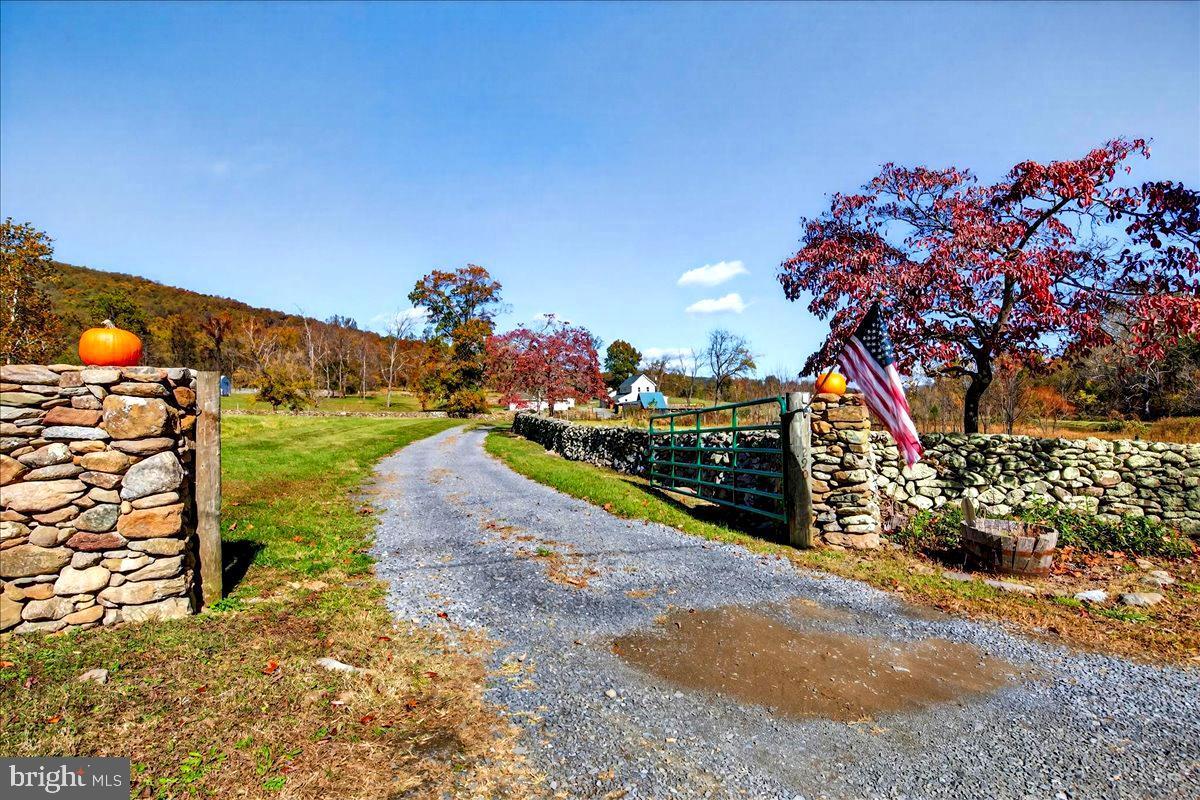 290 RILEY HOLLOW ROAD