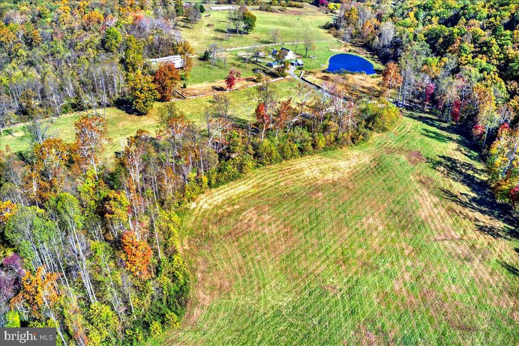 290 RILEY HOLLOW ROAD