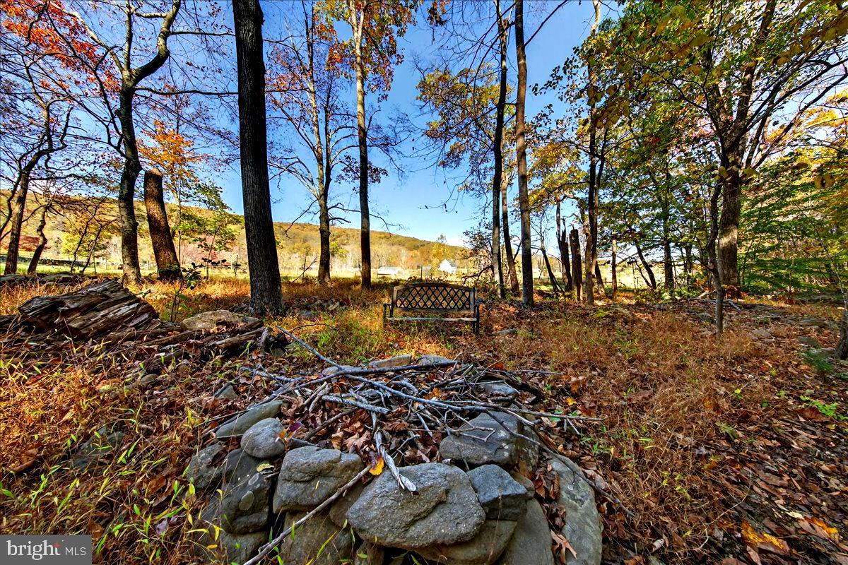 290 RILEY HOLLOW ROAD