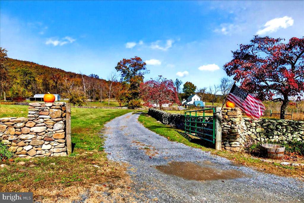 290 RILEY HOLLOW ROAD