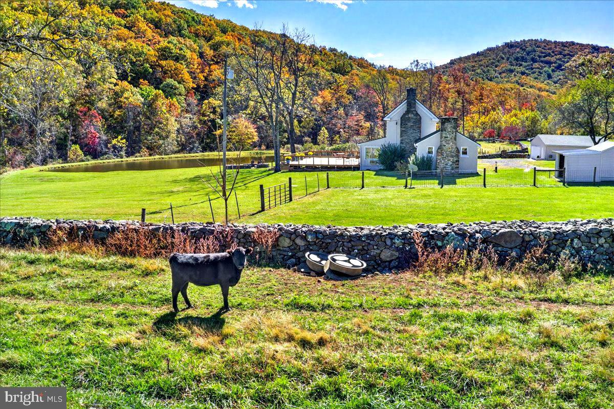 290 RILEY HOLLOW ROAD