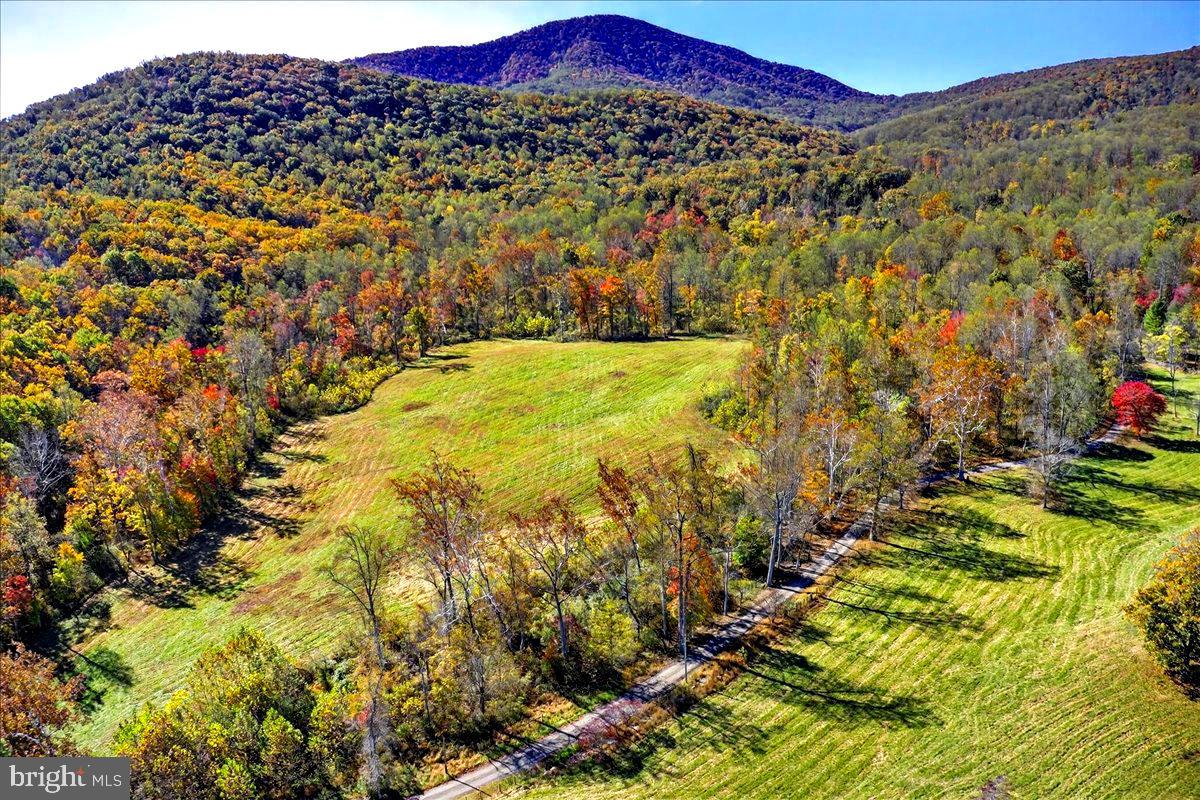 290 RILEY HOLLOW ROAD