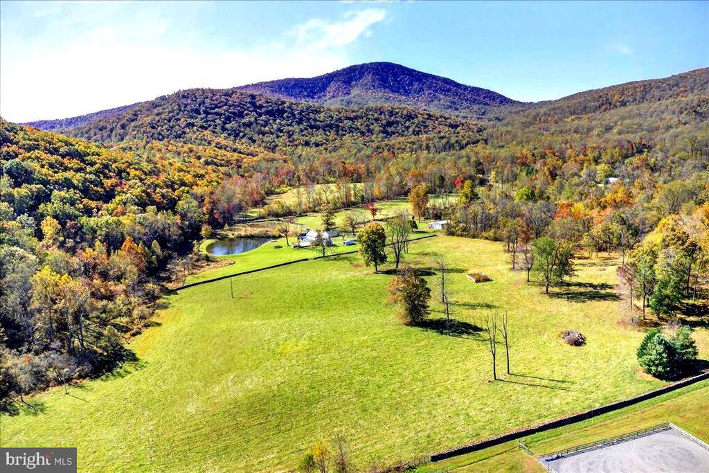 290 RILEY HOLLOW ROAD