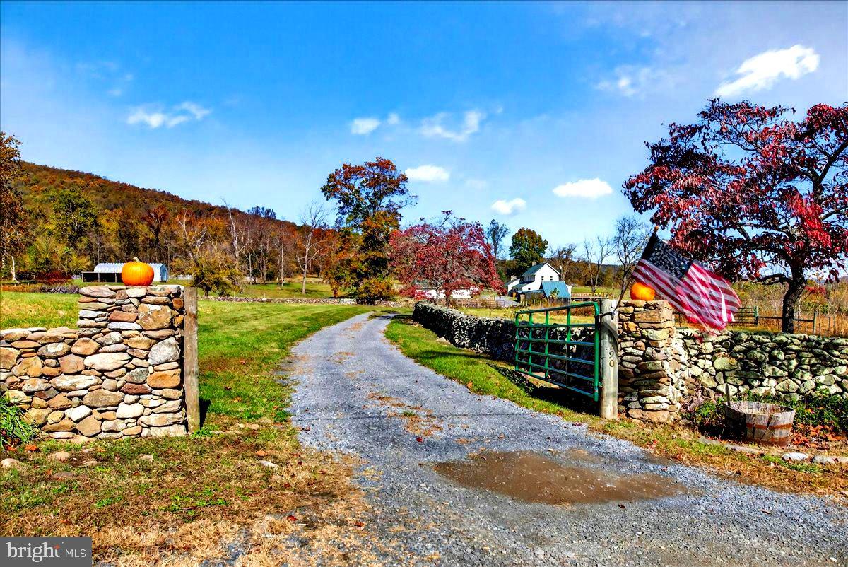 290 RILEY HOLLOW ROAD