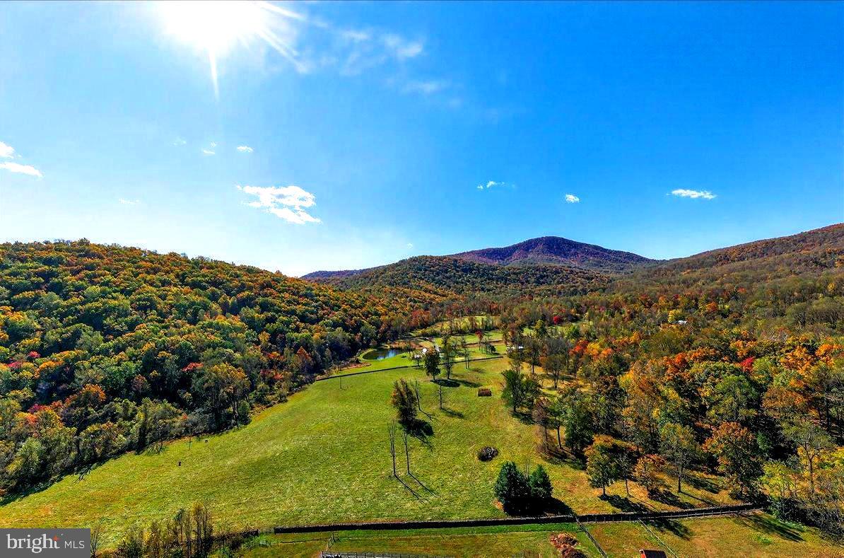 290 RILEY HOLLOW ROAD