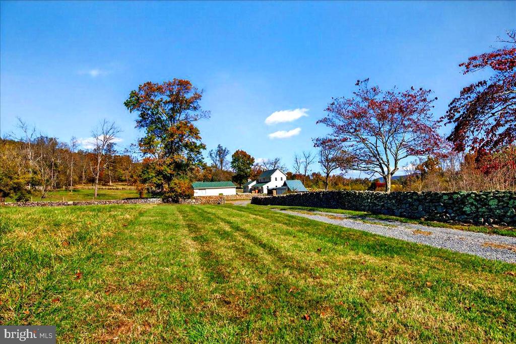 290 RILEY HOLLOW ROAD