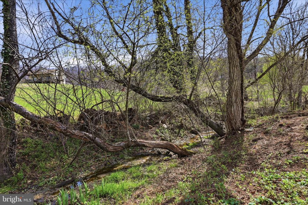 11 SCENIC LANE