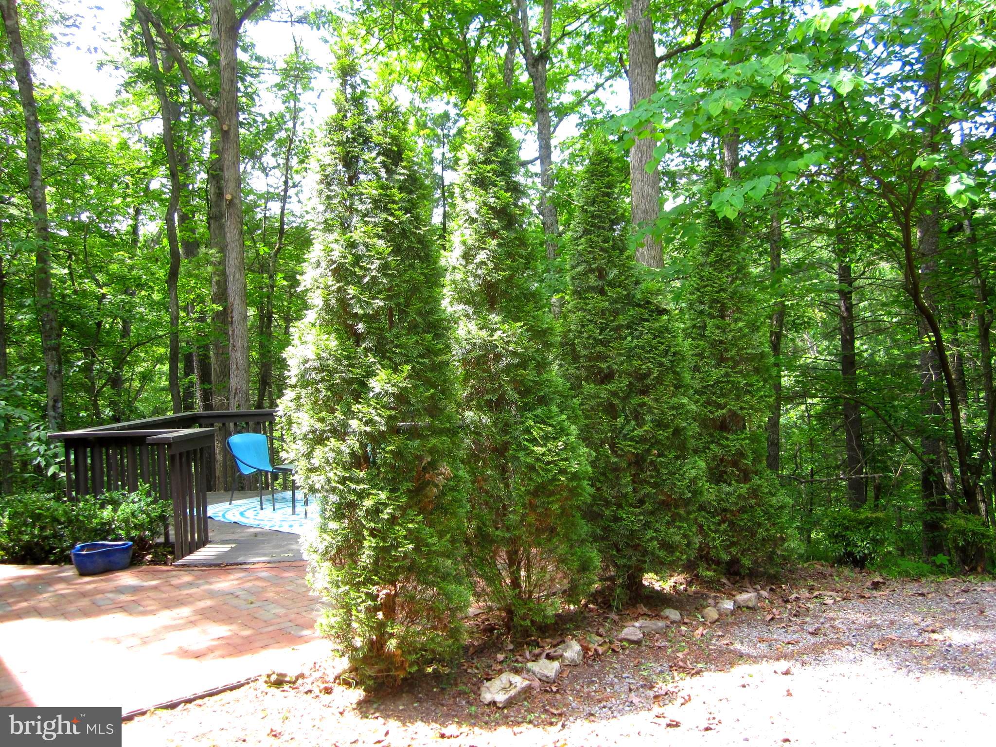 155 BEECH