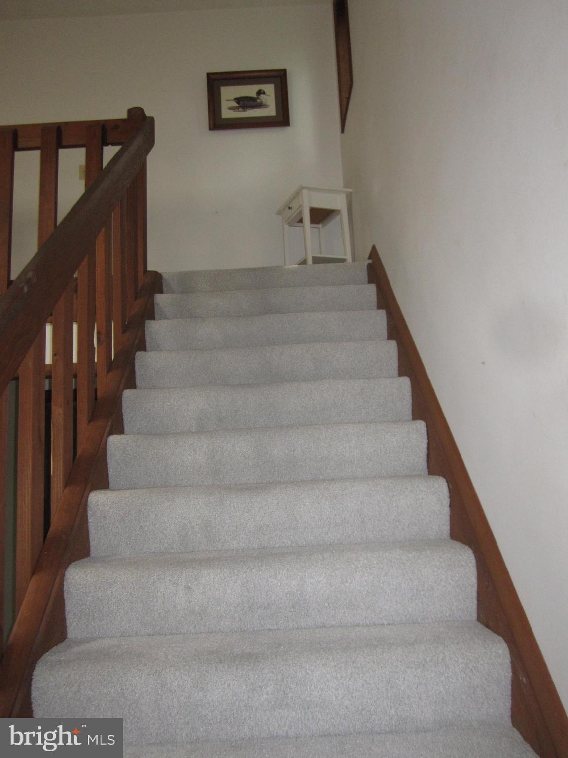 155 BEECH