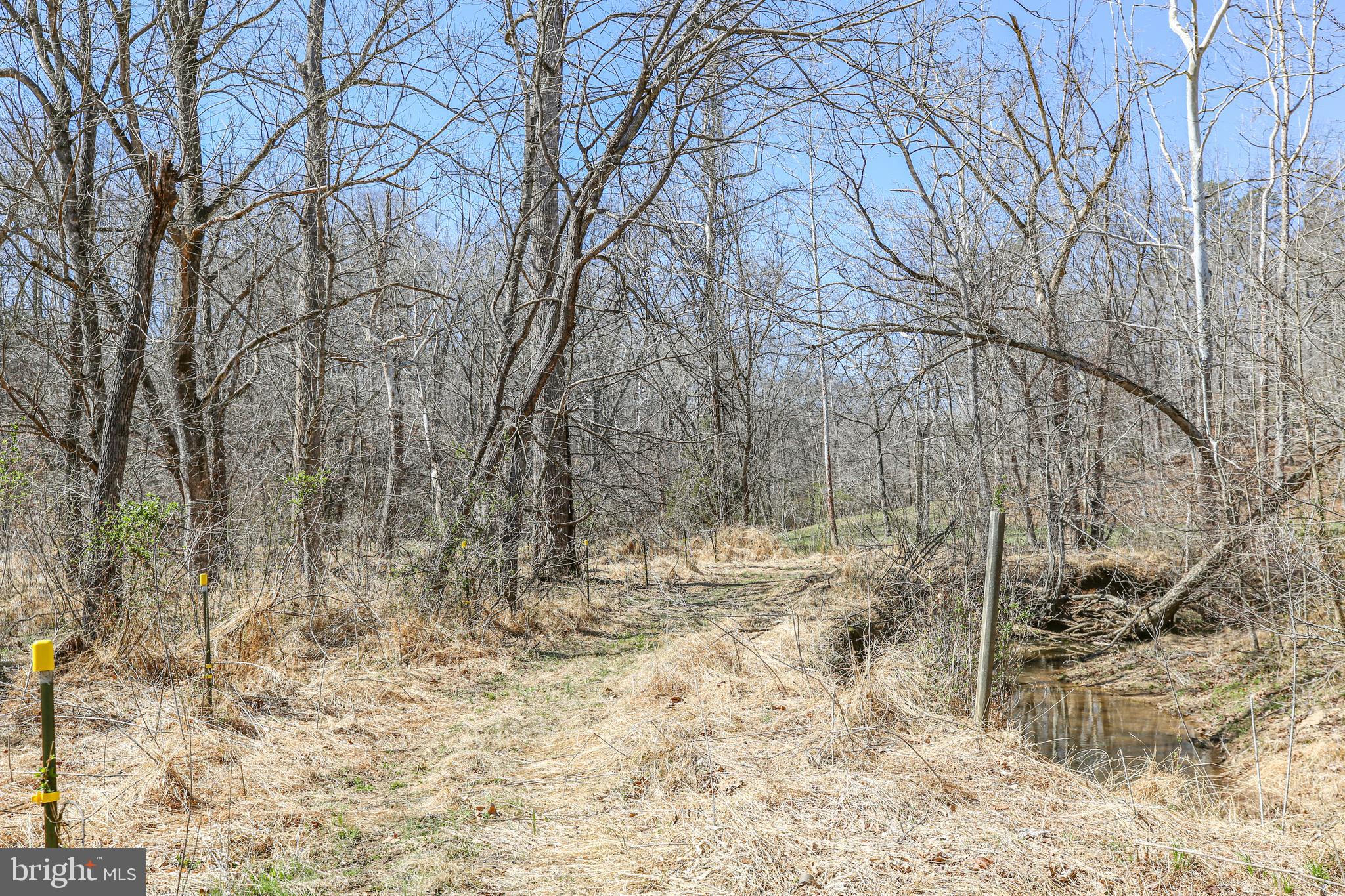 195 KING HENRY CT.