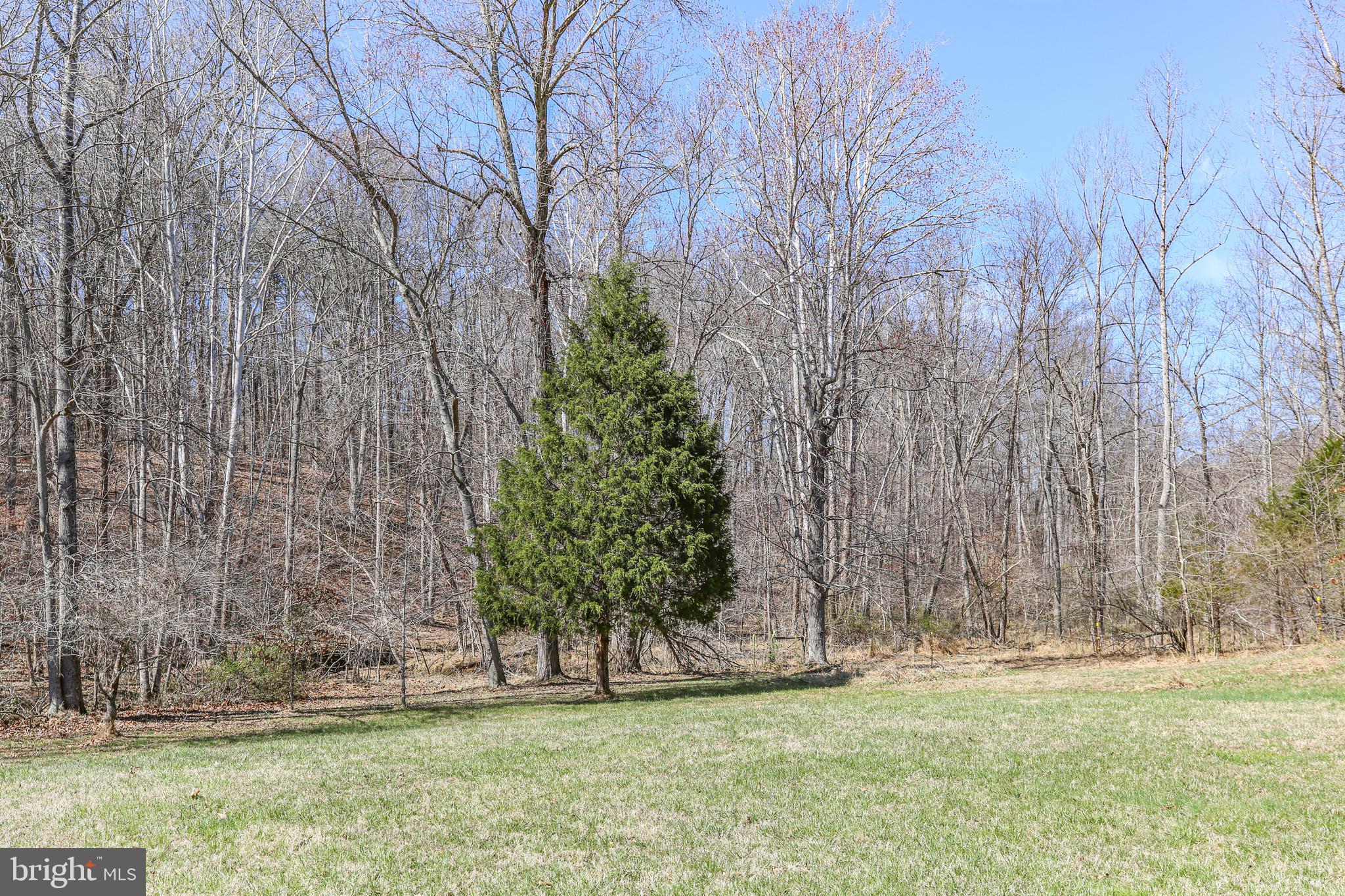 195 KING HENRY CT.