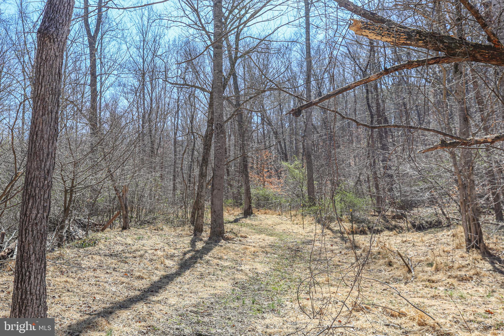 195 KING HENRY CT.