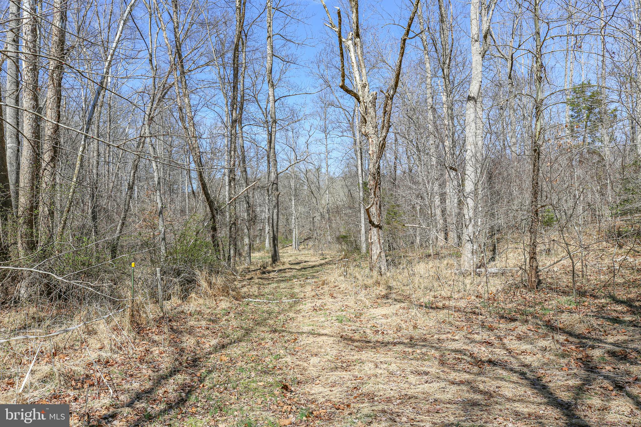 195 KING HENRY CT.
