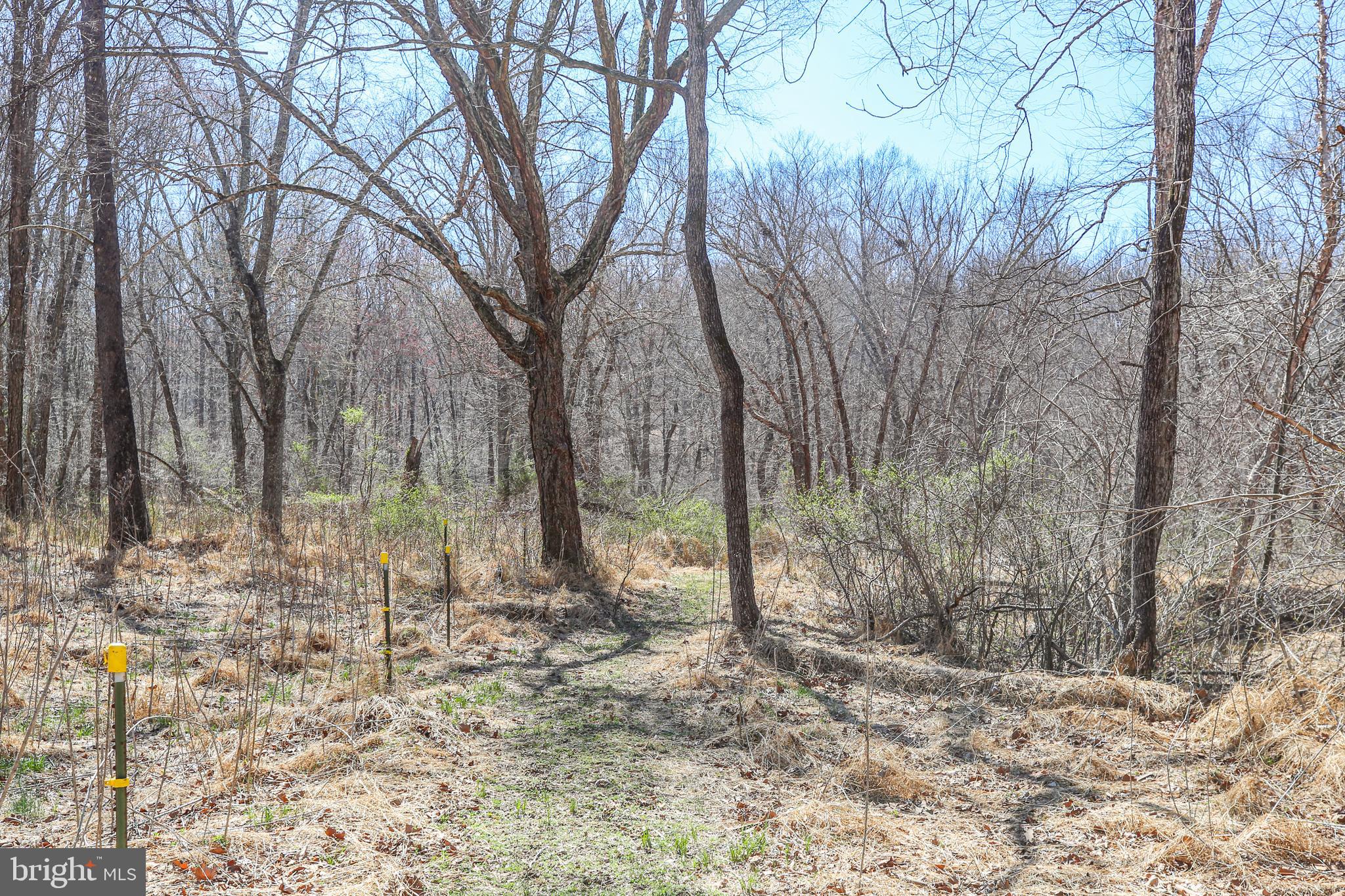 195 KING HENRY CT.