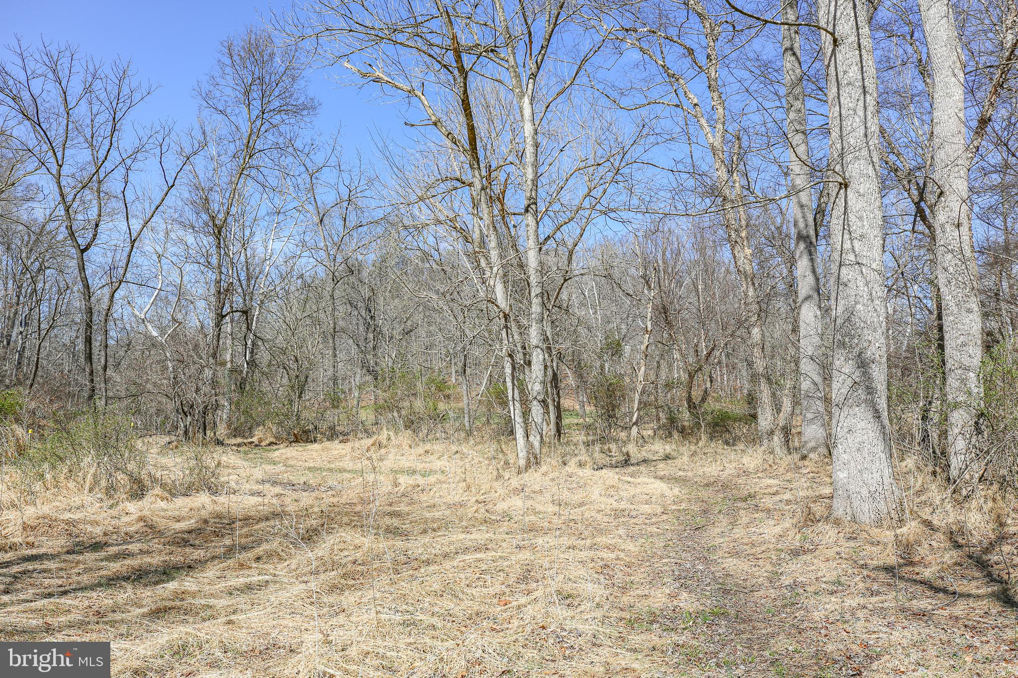 195 KING HENRY CT.